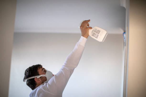 Best Commercial Mold Removal  in Vaughn, WA