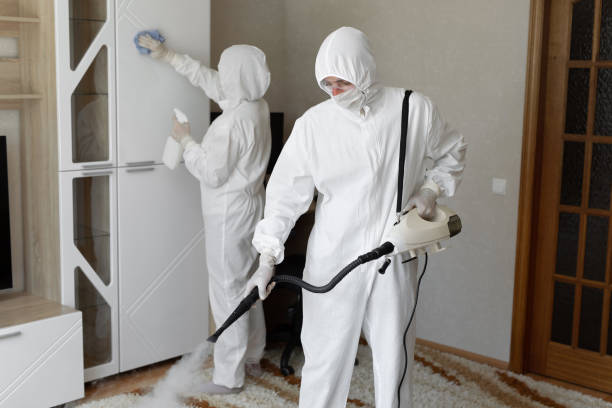 Best Residential Mold Removal  in Vaughn, WA