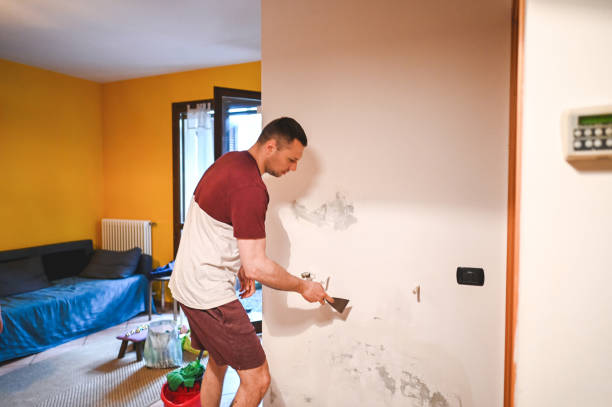 Best Professional Mold Removal  in Vaughn, WA